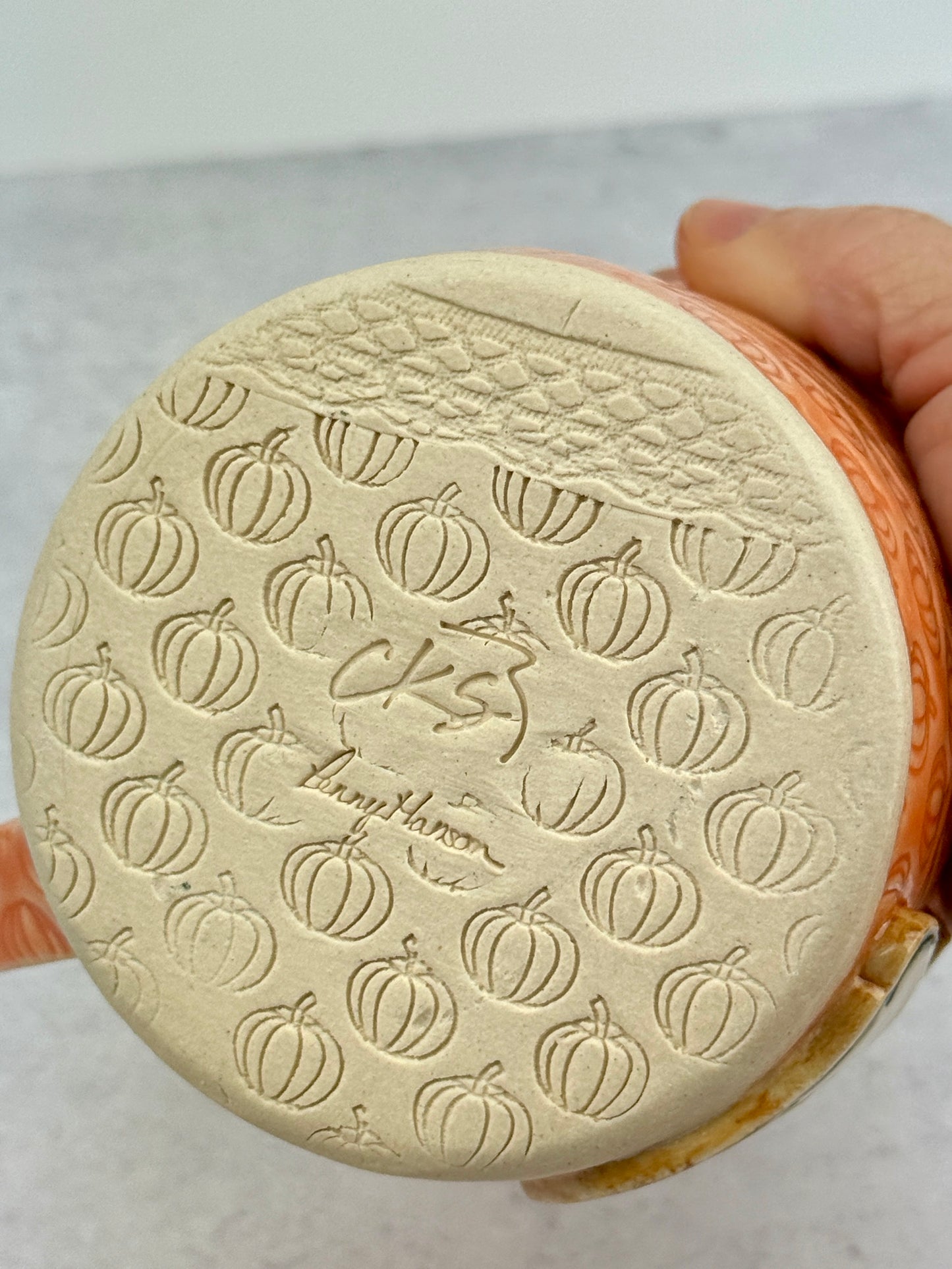 Orange Pumpkin Textured Mug With A Fox Design